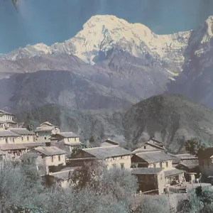 Mount Annapurna Pensión